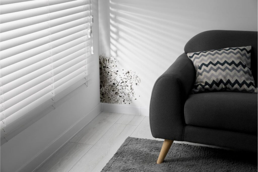 a patch of mould in a white living room near a window